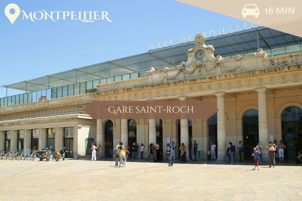 041 - Studio Le Chateau D'O, Appart 4Pers, Parking, Proche Faculte De Medecine 蒙彼利埃 外观 照片