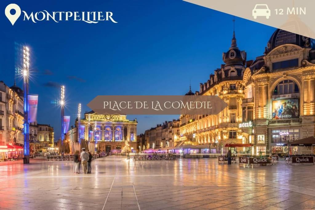 041 - Studio Le Chateau D'O, Appart 4Pers, Parking, Proche Faculte De Medecine 蒙彼利埃 外观 照片