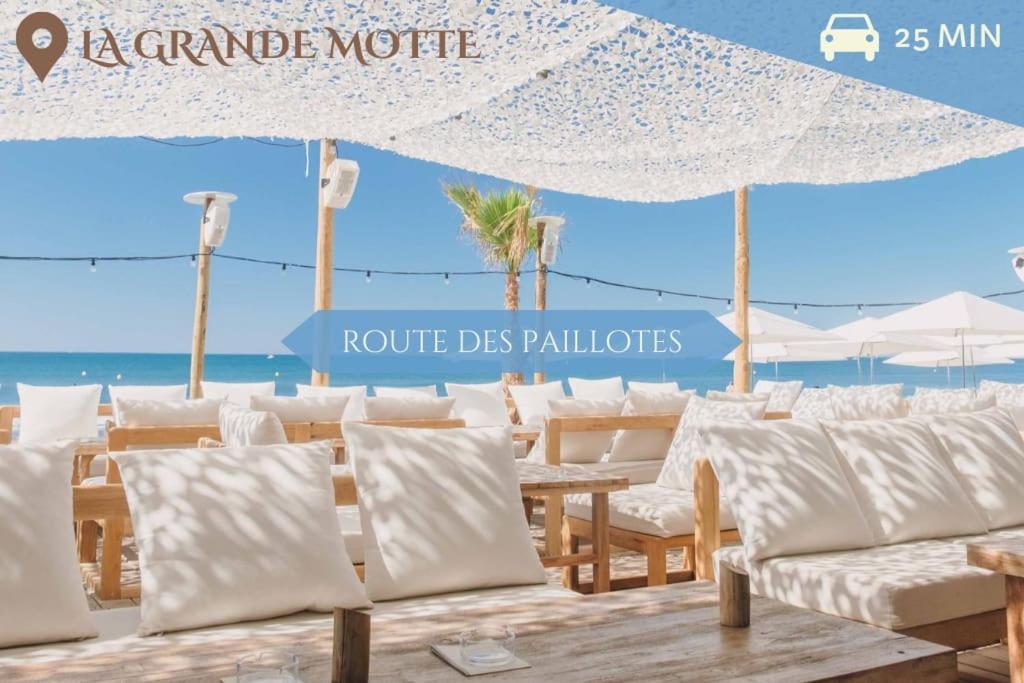 041 - Studio Le Chateau D'O, Appart 4Pers, Parking, Proche Faculte De Medecine 蒙彼利埃 外观 照片