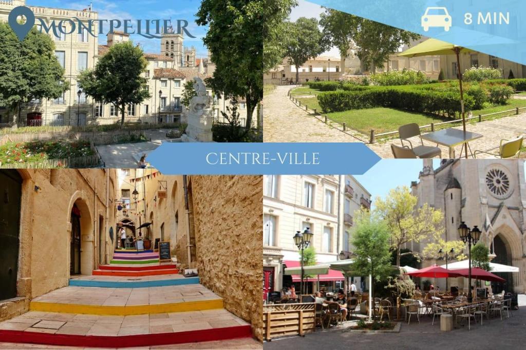 041 - Studio Le Chateau D'O, Appart 4Pers, Parking, Proche Faculte De Medecine 蒙彼利埃 外观 照片